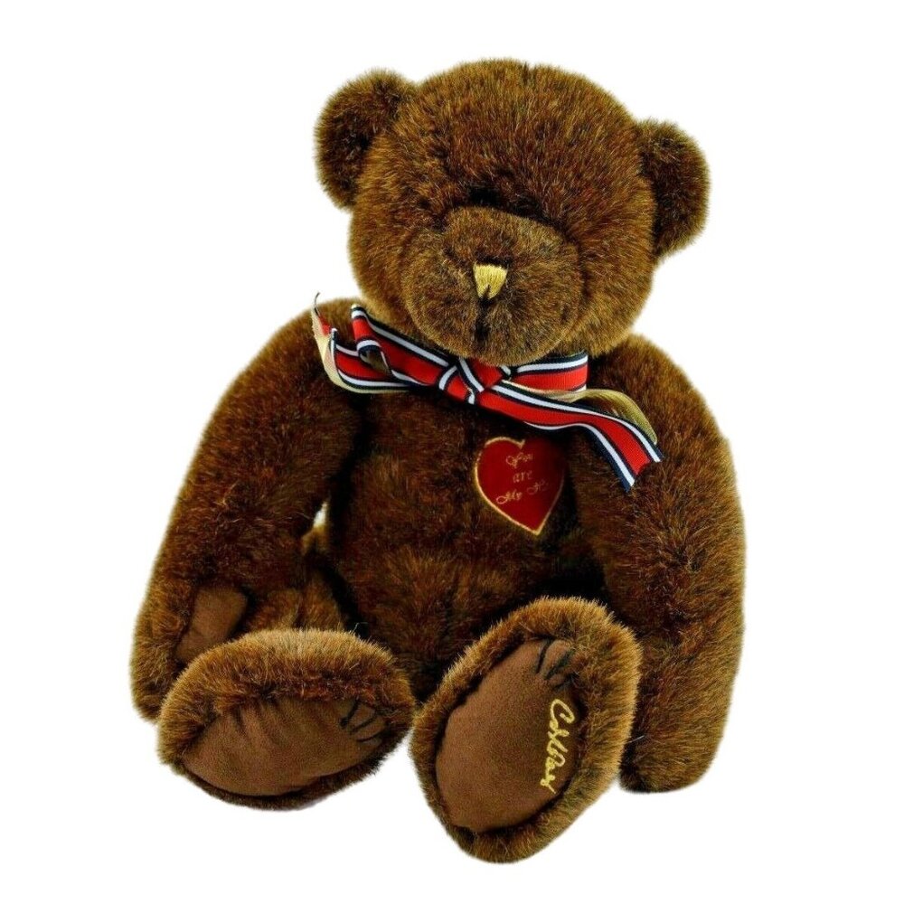 You are My Hero Plush Teddy Bear by CD Dolores 16 inch Bear Gift Set